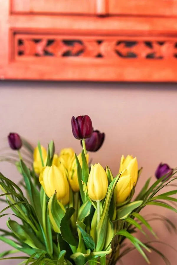 ***  Garlande Hotel Avignon Centre Франция